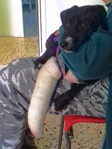 A black dog with his leg in a plaster cast sits on a persons lap.