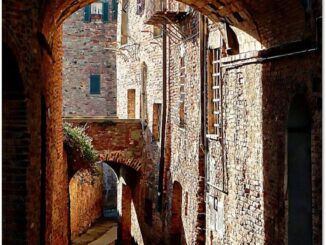 The front page of an A4 calendar showing a view underneath a dark archway towards a series of Italian traditional buildings bathed in sunlight. Has the words Umbrian Archways, Dorothy Berry-Lound and 2024.