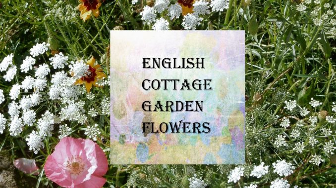 English Cottage Garden Flowers