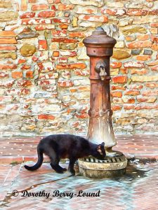 This example of ornate drinking water fountains in Italy features a black cat taking a drink from the base
