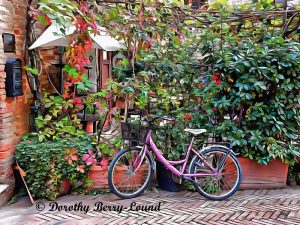 Bicycles That Complement Their Surroundings
