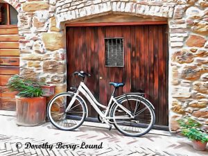 bicycles that complement their surroundings