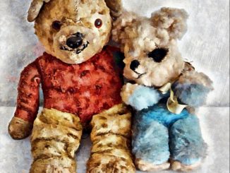 Adults Still Love Their Teddy Bears