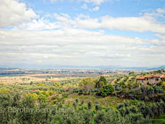 A view of a view down through olive groves, past an old Italian farm house towards a distant view of a lake. There is a large amount of sky with areas of blue and clouds
