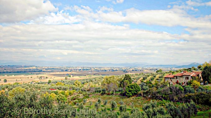 A view of a view down through olive groves, past an old Italian farm house towards a distant view of a lake. There is a large amount of sky with areas of blue and clouds