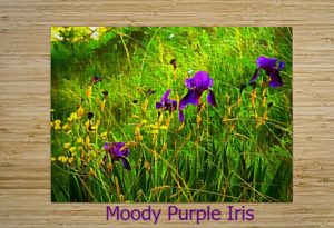 A jigsaw puzzle featuring an image of sunlit countryside with tall green grass, wild flowers and some beautiful purple iris in full bloom.