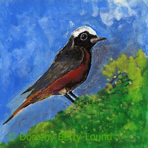 a painting of a male Common Redstart bird