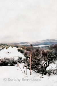 a snowy landscape
