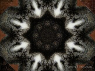 a symmetrical furry pattern in shades of grey with a hint of brown. Three central circes in different shades then one with dots all inside a dark star shape. That star sits inside a grey circule with white arrows pointing down between the points. The edges are brown.