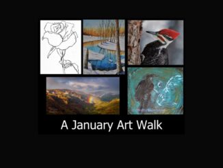 A collage of images on a black background. A line drawing of a rose, a snow scene of a river with snowy banks and trees, a portrait of a woodpecker, a landscape with rainbow and a painting depicting an angel. Has the words A January Art Walk.