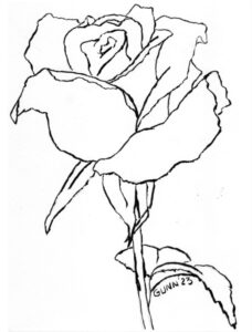 A line drawing of a rose in full bloom, part of the stem and leaves.
